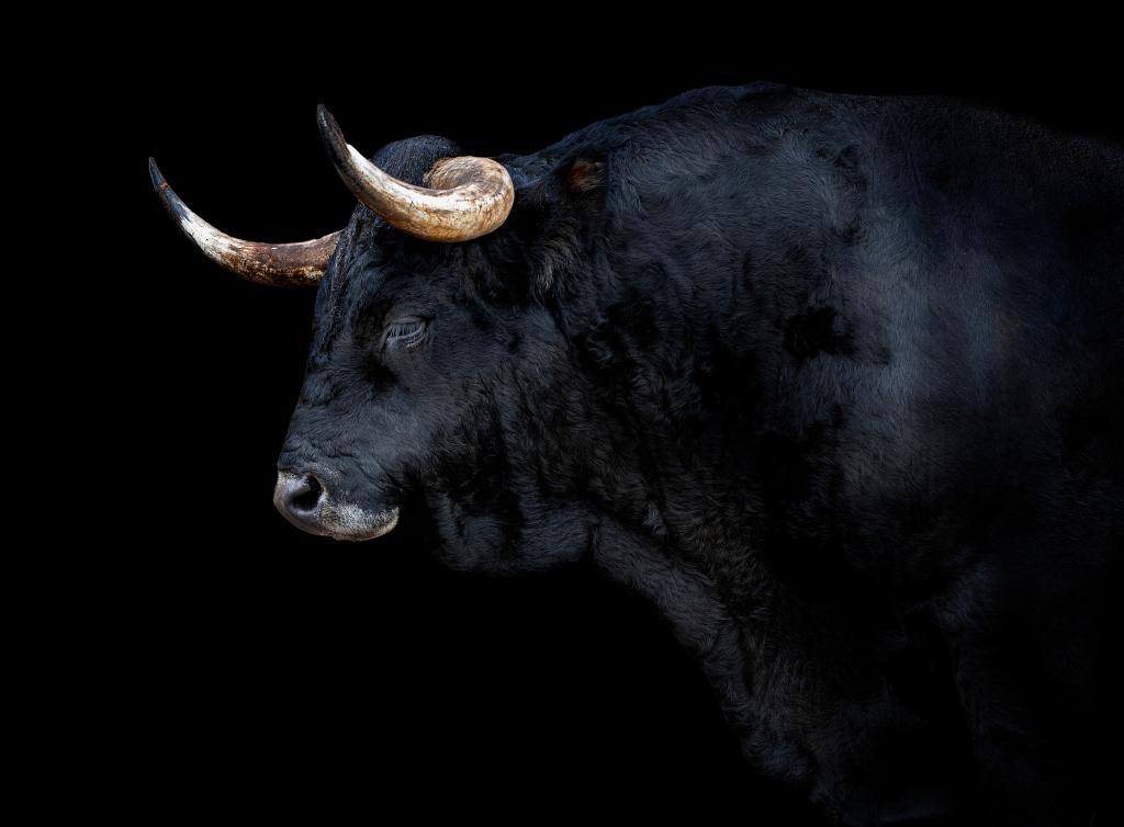 Welcome to the Taurus season - and be careful these more toxic traits of bad bulls