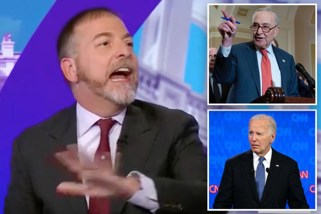 Chuck Todd Rips Chuck Schumer on Biden Coverage Fall: 'How Responsible As Anyone else'