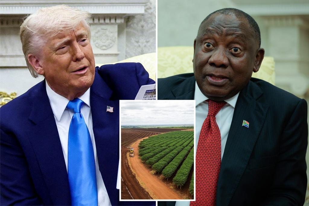 White House closes the 'funny' challenge of the death reporter of South African farmers