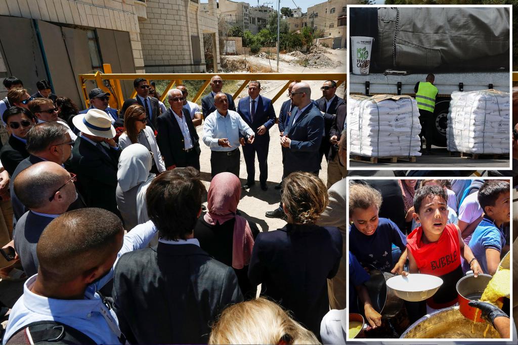 NBC posts, UN debut wipes claim that '14, 000 babies could die in the next 48 hours in Gaza before the shooting of the Hebrew Museum DC